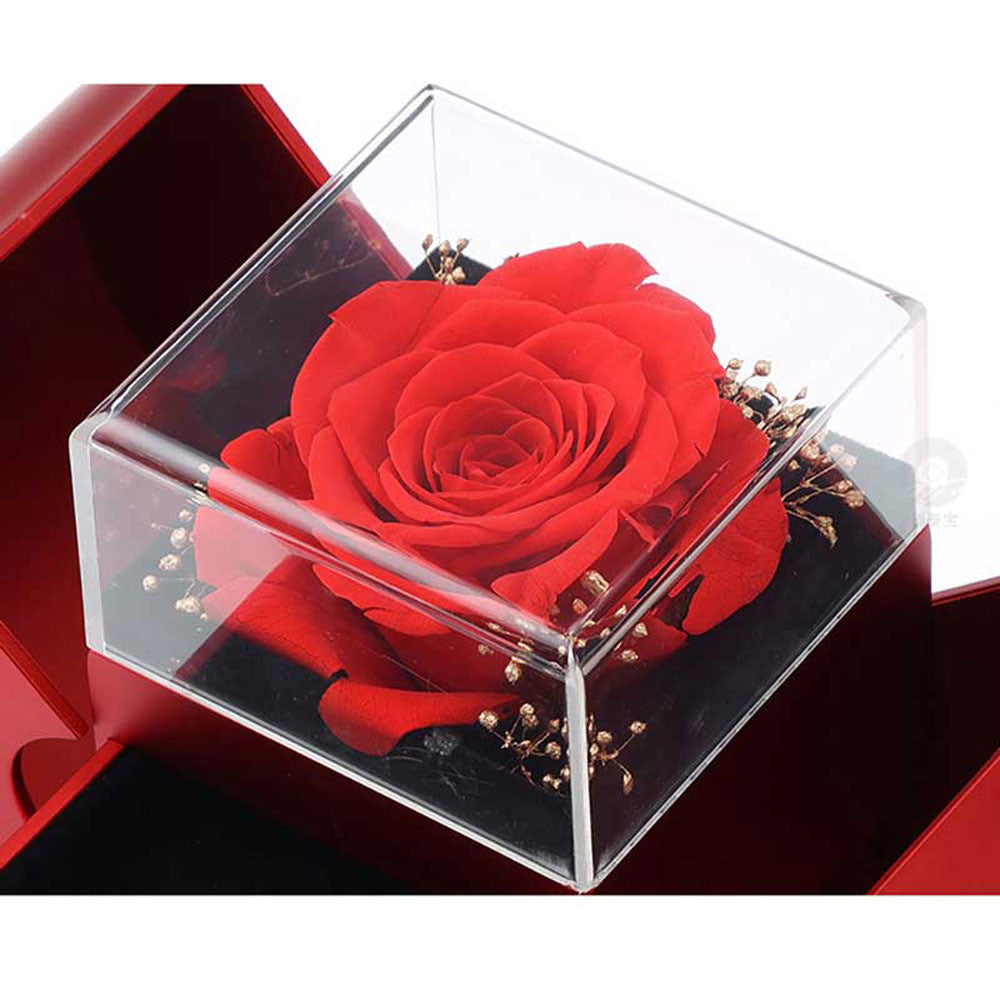 Jewelry Box Red Apple Gift Necklace